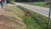 Mowing a drain. CTM7550X remote controlled lawn mower 7 Hp 550mm cut Rebel Mowers